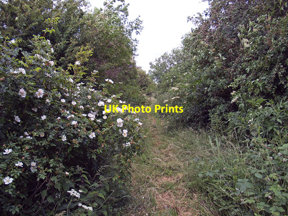 Photo 6"x4" Route of the North Lindsey Light Railway West Halton c2008