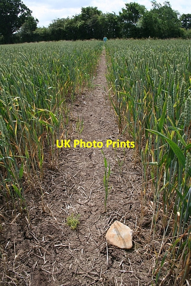 Photo 6"x4" Limestone on path Green Street\/SO8740 c2008