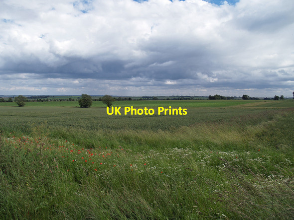 Photo 6"x4" Near Willwick Hill Plantation Whitton\/SE9024 c2008
