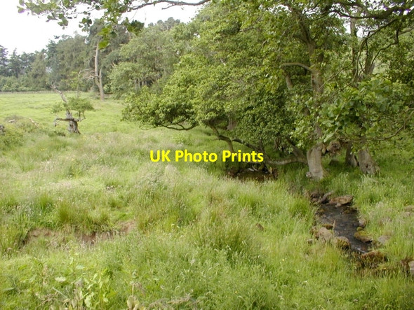 Photo 6"x4" White Gill Nether Silton c2008