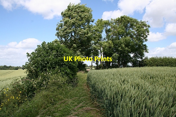 Photo 6"x4" Staggered field boundaries Baughton c2008