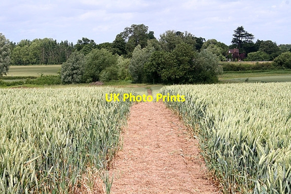 Photo 6"x4" Path to Earl's Croome Baughton c2008