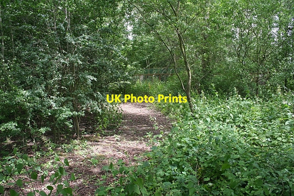 Photo 6"x4" Pheasant pens, Smithmoor Baughton c2008