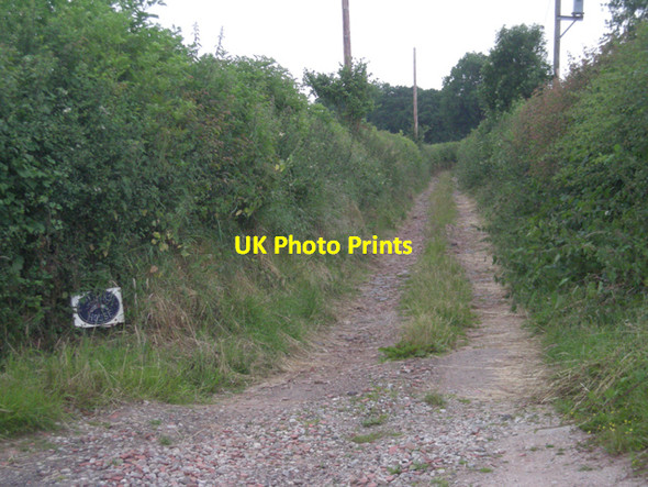 Photo 6"x4" Access to Blucks House Dow c2008