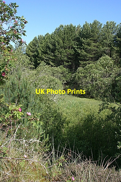 Photo 6"x4" Vanishing Loch Lochhill\/NJ2964 c2008