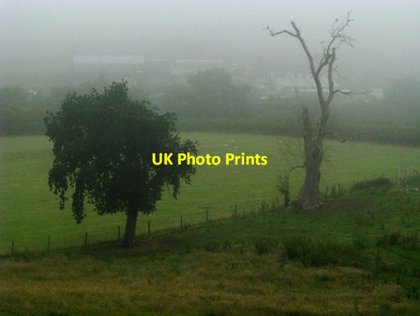 Photo 6"x4" Trees in mist near Crawfordsburn Crawfordsburn c2008