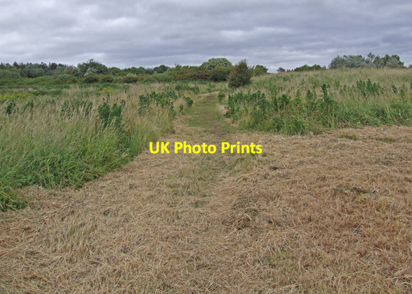 Photo 6"x4" Cliff top path Thurstaston c2008 P1
