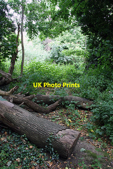 Photo 6"x4" Dollis Valley Green Walk Hendon\/TQ2389 c2008