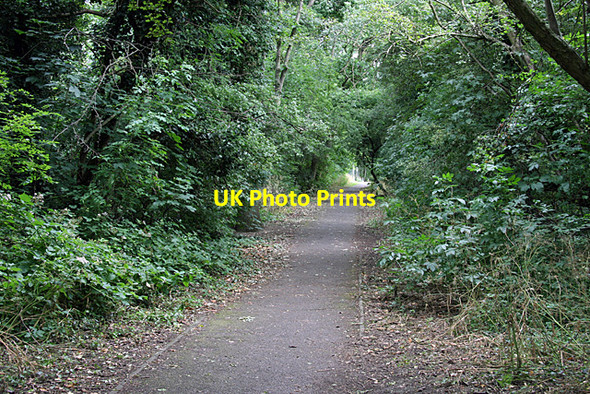 Photo 6"x4" Dollis Valley Green Walk Hendon\/TQ2389 c2008 P1
