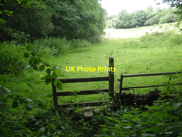Photo 6"x4" Leaving the woods Coppicegate c2008