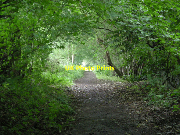 Photo 6"x4" Footpath beside a caravan site Chirk\/Y Waun c2008