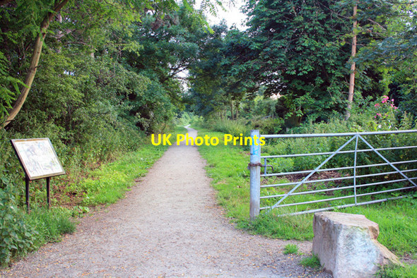 Photo 6"x4" Path of Derby and Sandiacre Canal Long Eaton c2008