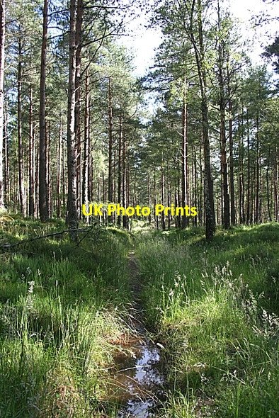 Photo 6"x4" Unused Track Blackburn\/NJ2958 c2008
