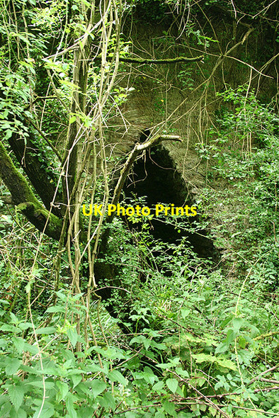 Photo 6"x4" Yealmpton: old limekiln Torr\/SX5851 c2008