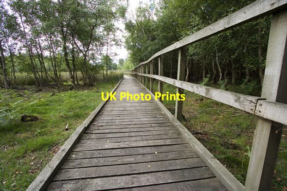 Photo 6"x4" Walkway - Skipwith Common Little Skipwith c2008
