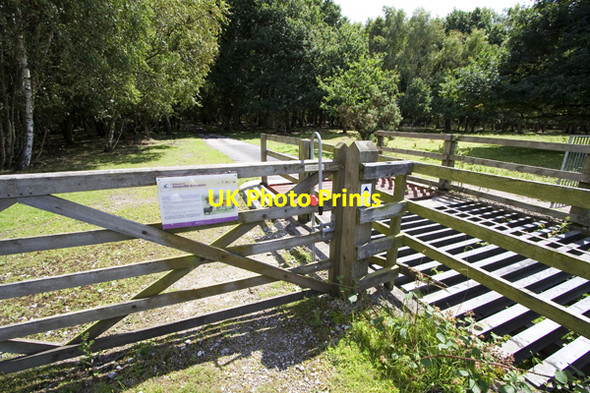Photo 6"x4" One of the entrances to Skipwith Common Little Skipwith c2008