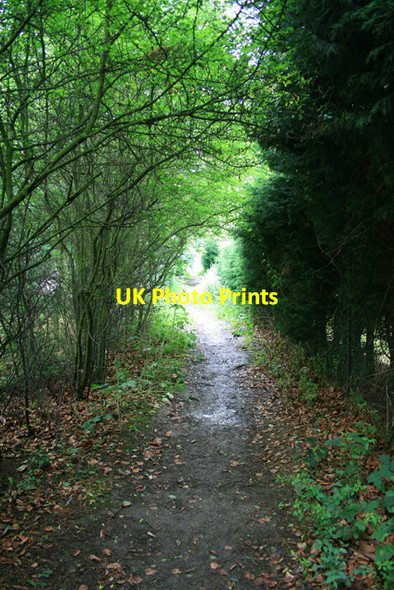 Photo 6"x4" Footpath to Long Eaton Long Eaton c2008