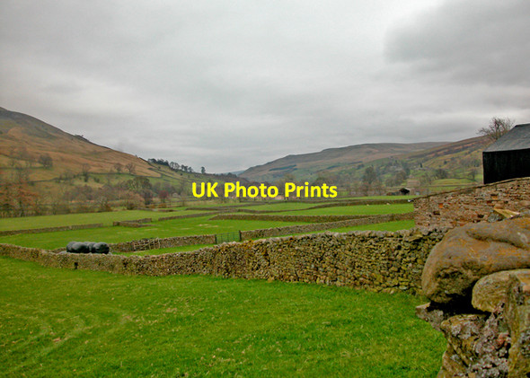 Photo 6"x4" Hay meadows Muker c2004