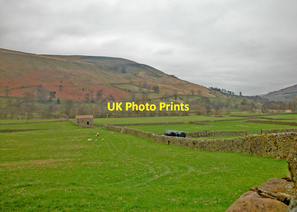 Photo 6"x4" Hay meadows Muker c2004
