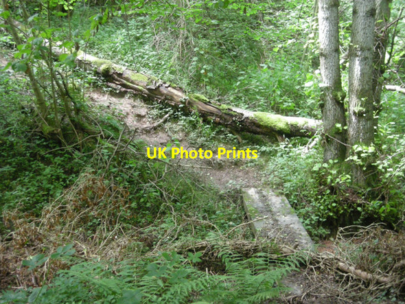 Photo 6"x4" The path is getting rough Fenn Green c2008