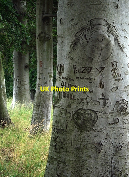Photo 6"x4" Please leave your name Ledsham\/SE4529 c2008