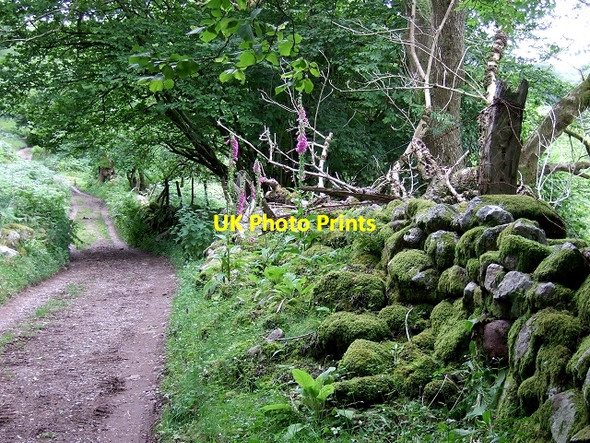 Photo 6"x4" Road leading to Hendre Bolon, Ystradfellte Ystradfellte c2008
