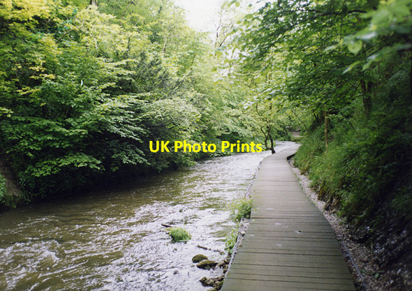 Photo 6"x4" The Boardwalk in Dovedale Ilam c1998