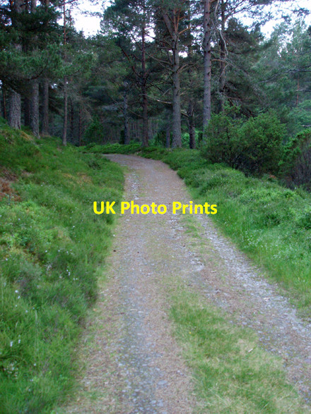 Photo 6"x4" Track through An Slugan Dalfaber c2008