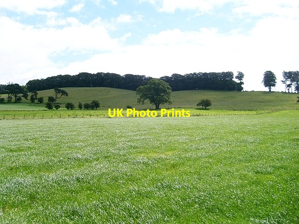Photo 6"x4" Fields below Brampton Ridge Brampton\/NY5261 c2008