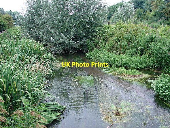 Photo 6"x4" The River Hiz at Cadwell Hitchin c2008