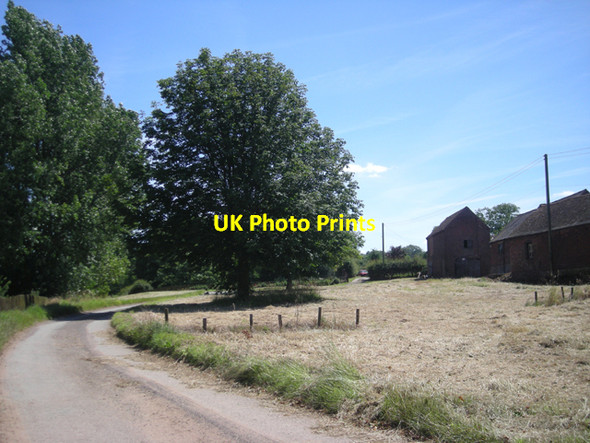 Photo 6"x4" Lane past The Hollies Coxgreen c2008