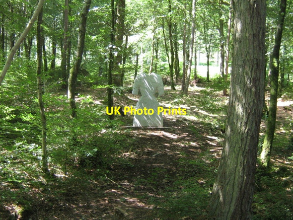 Photo 6"x4" Mabie Forest - The Ghost Stane Islesteps c2008