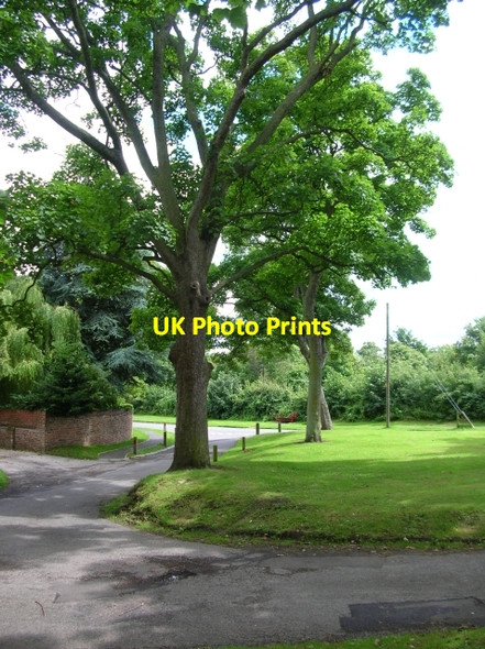 Photo 6"x4" Skelton Village Green Skelton\/SE5756 c2008