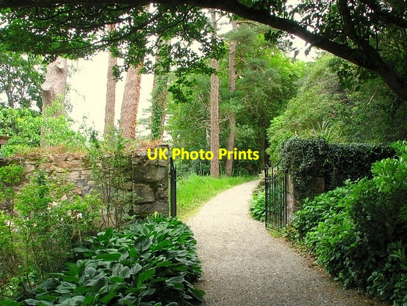 Photo 6"x4" Path, Glenveagh Castle gardens Church Hill\/C0615 c2008