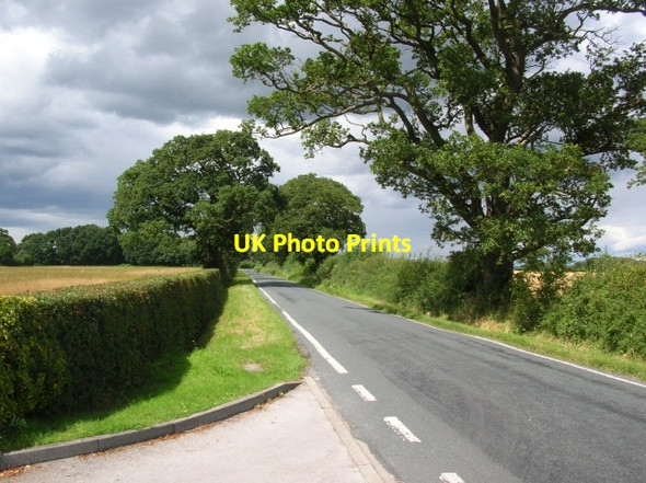 Photo 6"x4" Moor Lane next to golf club Wigginton\/SE5958 c2008