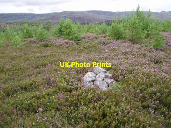 Photo 6"x4" Tiny Cairn Lochanhully c2008