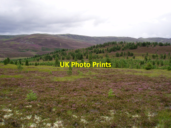 Photo 6"x4" Carn Dubh Foregin c2008