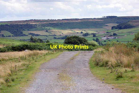 Photo 6"x4" Bridlepath to Danby Ainthorpe c2008