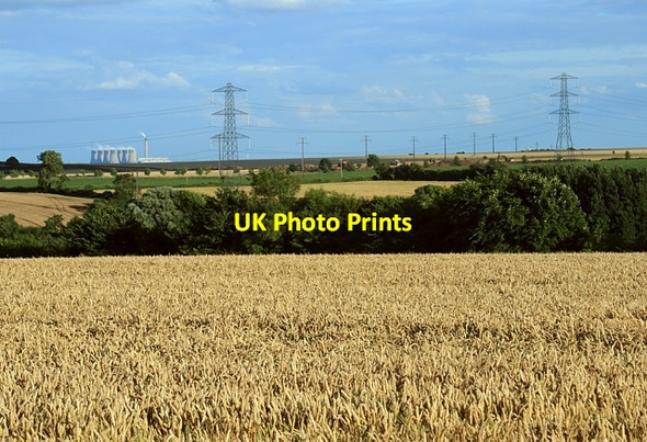 Photo 6"x4" Ripening nicely Saxton c2008