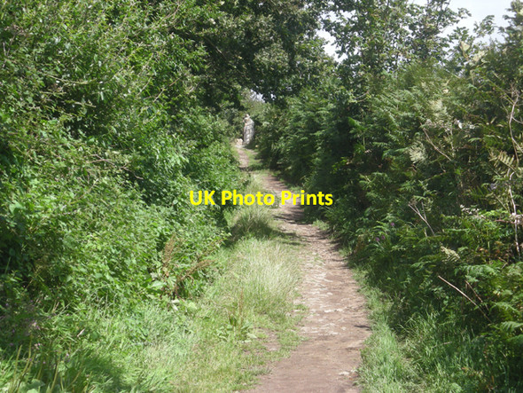 Photo 6"x4" South West Coast path near Point Spaniard Raginnis c2008