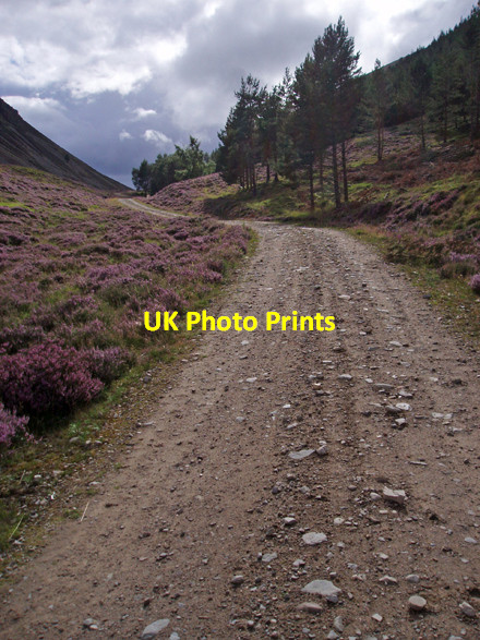 Photo 6"x4" Track, Glenfeshie Carnachuin c2008