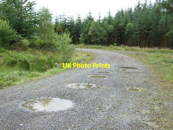 Photo 6"x4" Trackway, Coed y Rhaiadr Pen-common c2008