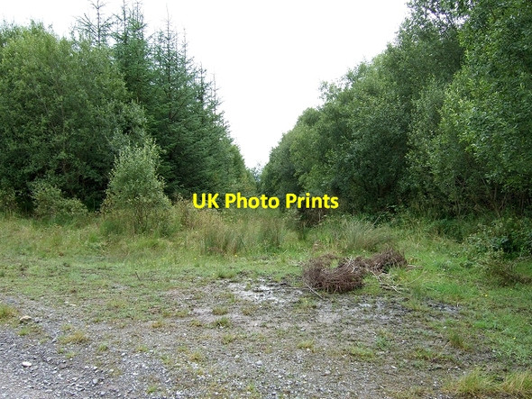 Photo 6"x4" Coed y Rhaiadr Coelbren c2008