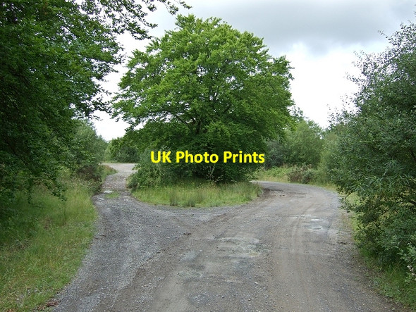 Photo 6"x4" Nant Hir Ford, Coed y Rhaiadr Coelbren c2008