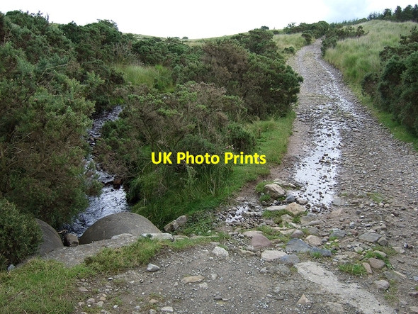 Photo 6"x4" Sarn Helen Roman Road \/ Nant Hir, Coed y Rhaiadr Coelbren c2008
