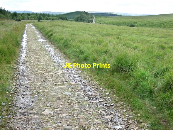 Photo 6"x4" Sarn Helen Roman Road, Coed y Rhaiadr Pen-common c2008