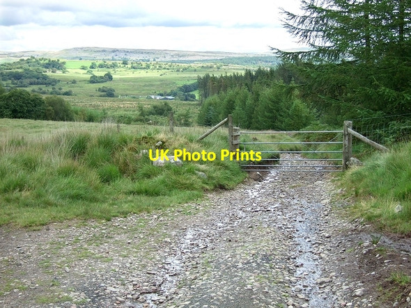 Photo 6"x4" Eastern End to Sarn Helen Roman Road, Coed y Rhaiadr Ystradfellte c2008