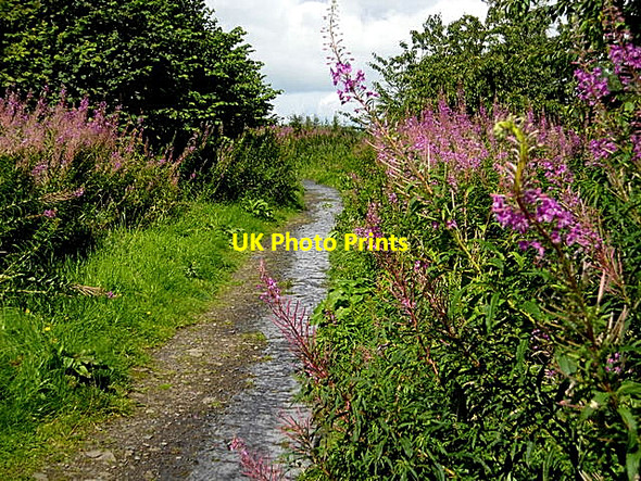 Photo 6"x4" Footpath Near Calder Water Kelvin\/NS6352 c2008