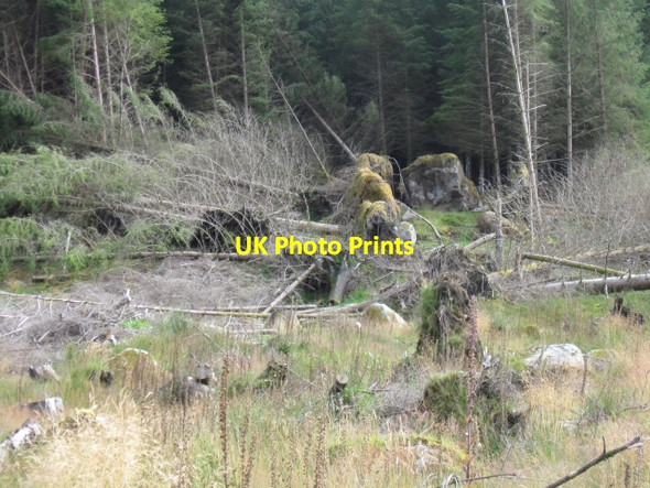 Photo 6"x4" Cleared forestry, windblown trees and rocks, below Meall B\u00c3\u00a0n above River Duror Achadh nan Darach c2008