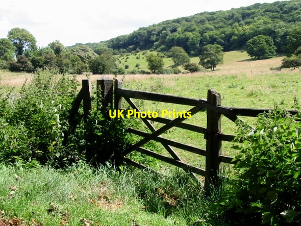 Photo 6"x4" Elms Wood on West Down Church Hougham c2008
